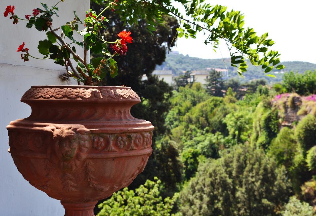 Relais La Rupe Hotel Sorrento Bagian luar foto
